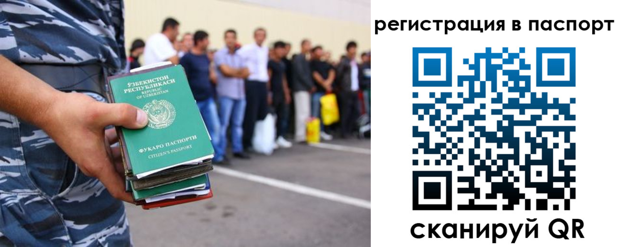 прописка поиск в Моздоке